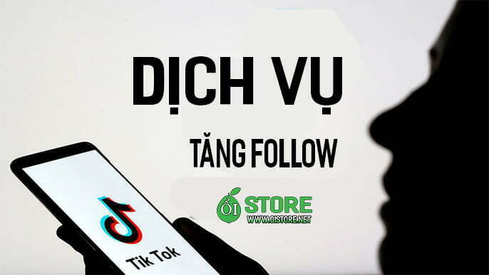 dich-vu-tang-follow-tiktok